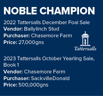NOBLE CHAMPION 2022 Tattersalls December Foal Sale Vendor: Ballylinch Stud Purchaser: Chasemore Farm Price: 27,000gns...