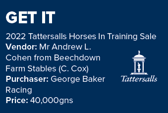 GET IT 2022 Tattersalls Horses In Training Sale Vendor: Mr Andrew L. Cohen from Beechdown Farm Stables (C. Cox) Purch...