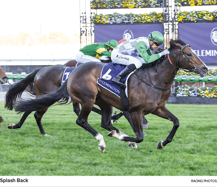 Splash Back Racing Photo