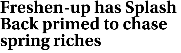 Freshen up has Splash Back primed to chase spring riches