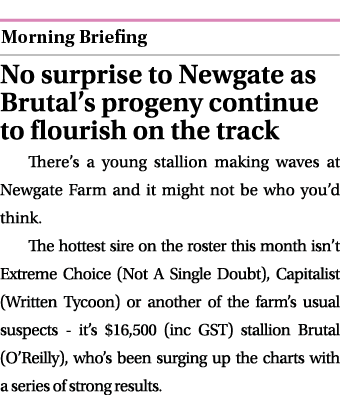  ￼ No surprise to Newgate as Brutal’s progeny continue to flourish on the track There’s a young stallion making waves...