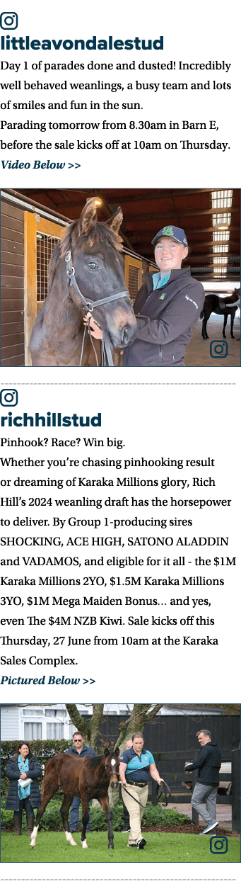 ￼ littleavondalestud Day 1 of parades done and dusted! Incredibly well behaved weanlings, a busy team and lots of smi...