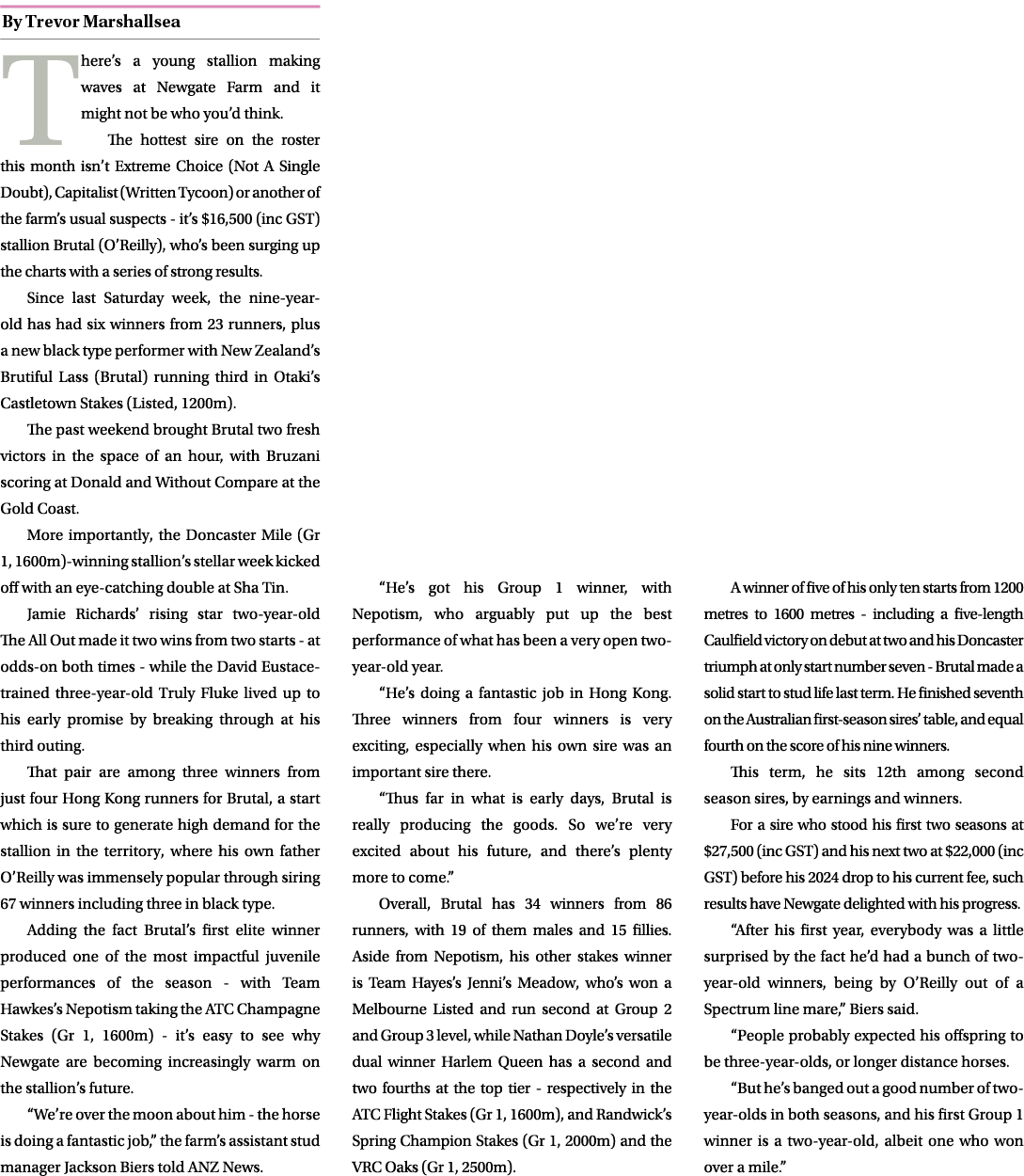 ￼ There’s a young stallion making waves at Newgate Farm and it might not be who you’d think. The hottest sire on the ...