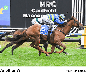 Another Wil racing photo