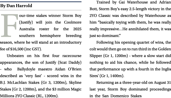 ￼ Four time stakes winner Storm Boy (Justify) will join the Coolmore Australia roster for the 2025 southern hemispher...