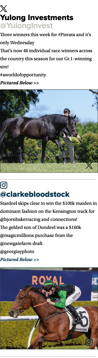 ￼ Yulong Investments @YulongInvest Three winners this week for #Pierata and it’s only Wednesday That’s now 46 individ...