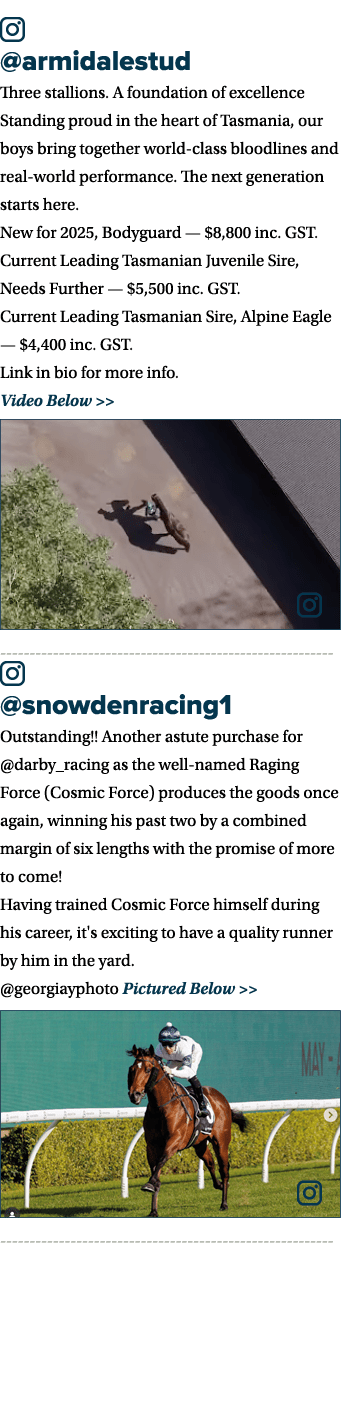 ￼ @armidalestud Three stallions. A foundation of excellence Standing proud in the heart of Tasmania, our boys bring t...