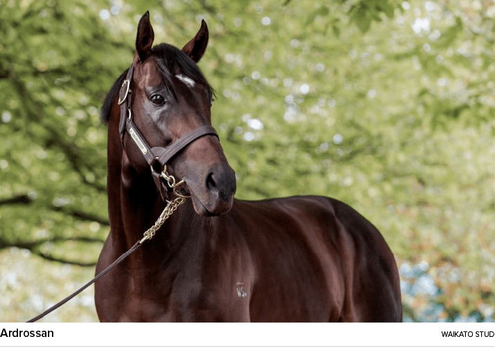 Ardrossan waikato stu