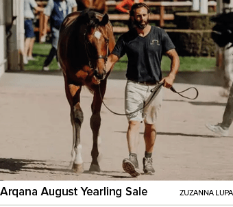 Arqana August Yearling Sale Zuzanna Lup
