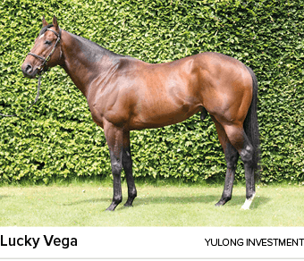 Lucky Vega yulong investmen