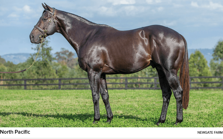 North Pacific newgate far