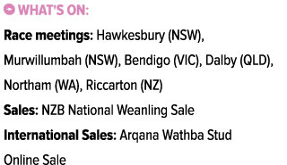 ￼ What's on: Race meetings: Hawkesbury (NSW), Murwillumbah (NSW), Bendigo (VIC), Dalby (QLD), Northam (WA), Riccarton...