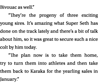 Bivouac as well.” “They’re the progeny of three exciting young sires. It’s amazing what Super Seth has done on the tr...