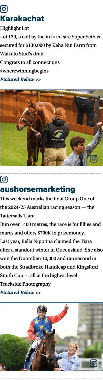 ￼ Karakachat Highlight Lot Lot 139, a colt by the in form sire Super Seth is secured for $130,000 by Kaha Nui Farm fr...