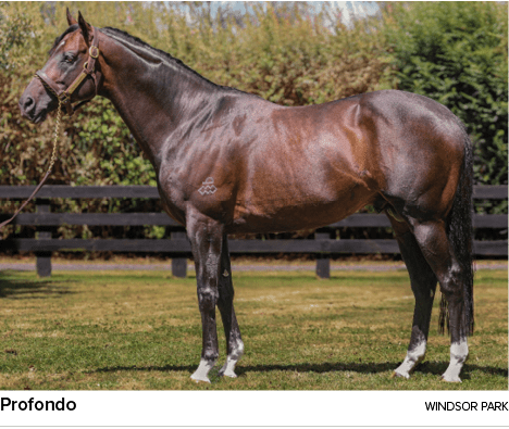 Profondo Windsor Park