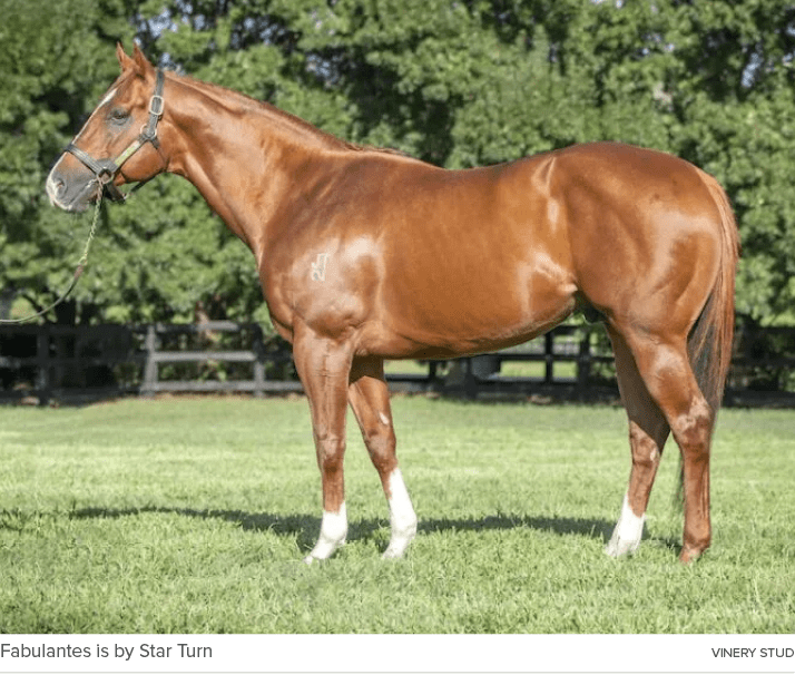 Fabulantes is by Star Turn Vinery Stu