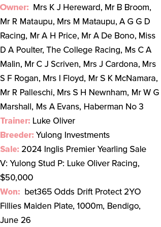 Owner: Mrs K J Hereward, Mr B Broom, Mr R Mataupu, Mrs M Mataupu, A G G D Racing, Mr A H Price, Mr A De Bono, Miss D ...