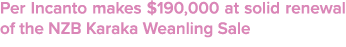 Per Incanto makes $190,000 at solid renewal of the NZB Karaka Weanling Sale