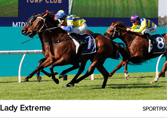 Lady Extreme Sportpi