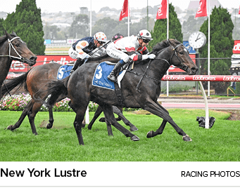 New York Lustre racing photo
