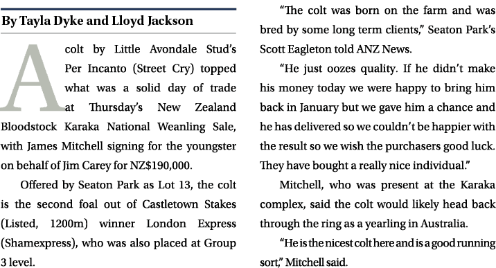 ￼ A colt by Little Avondale Stud’s Per Incanto (Street Cry) topped what was a solid day of trade at Thursday’s New Ze...