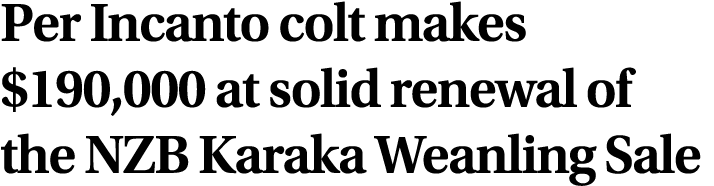 Per Incanto colt makes $190,000 at solid renewal of the NZB Karaka Weanling Sale