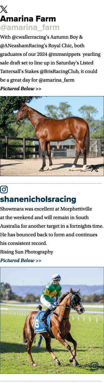 ￼ Amarina Farm @amarina_farm With @cwallerracing's Autumn Boy & @ANeashamRacing's Royal Chic, both graduates of our 2...