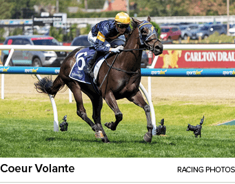 Coeur Volante racing photo