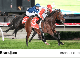 Brandjam racing photo