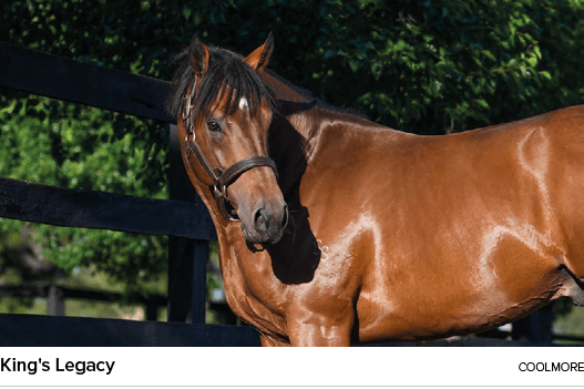 King's Legacy Coolmor