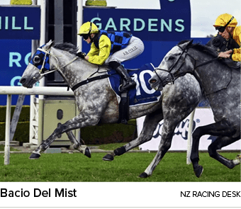 Bacio Del Mist nz racing des