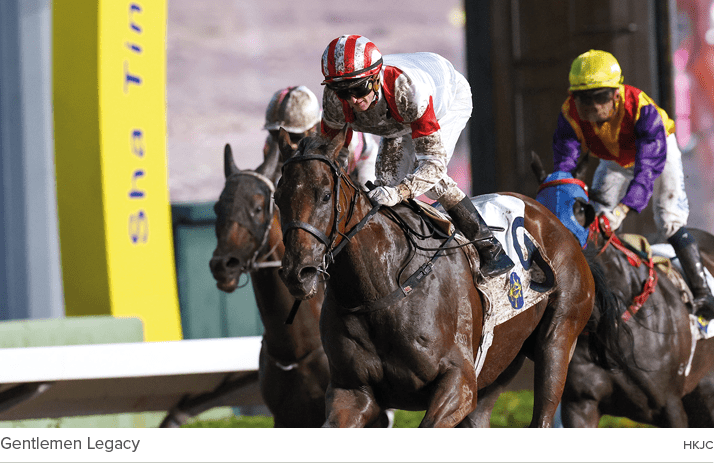Gentlemen Legacy hkj