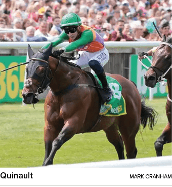 Quinault Mark Cranha