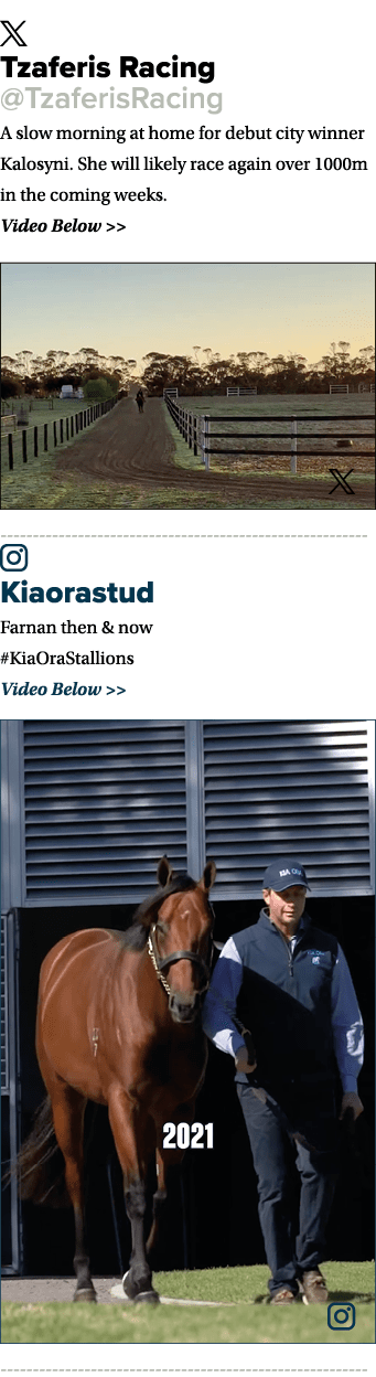 ￼ Tzaferis Racing @TzaferisRacing A slow morning at home for debut city winner Kalosyni. She will likely race again o...