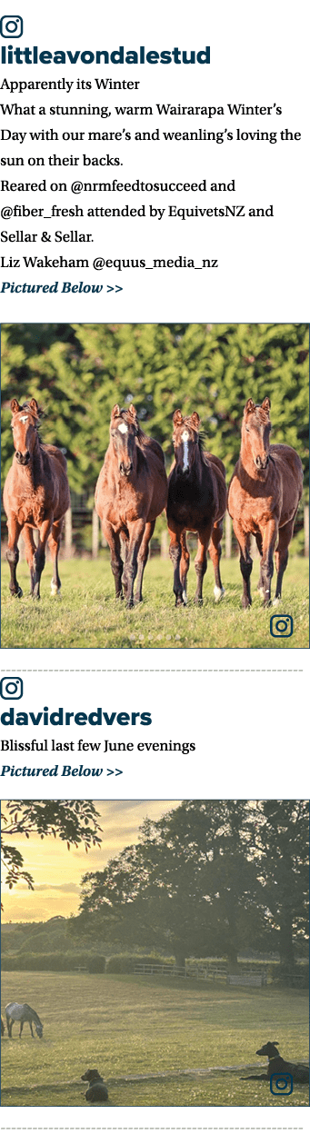 ￼ littleavondalestud Apparently its Winter What a stunning, warm Wairarapa Winter’s Day with our mare’s and weanling’...