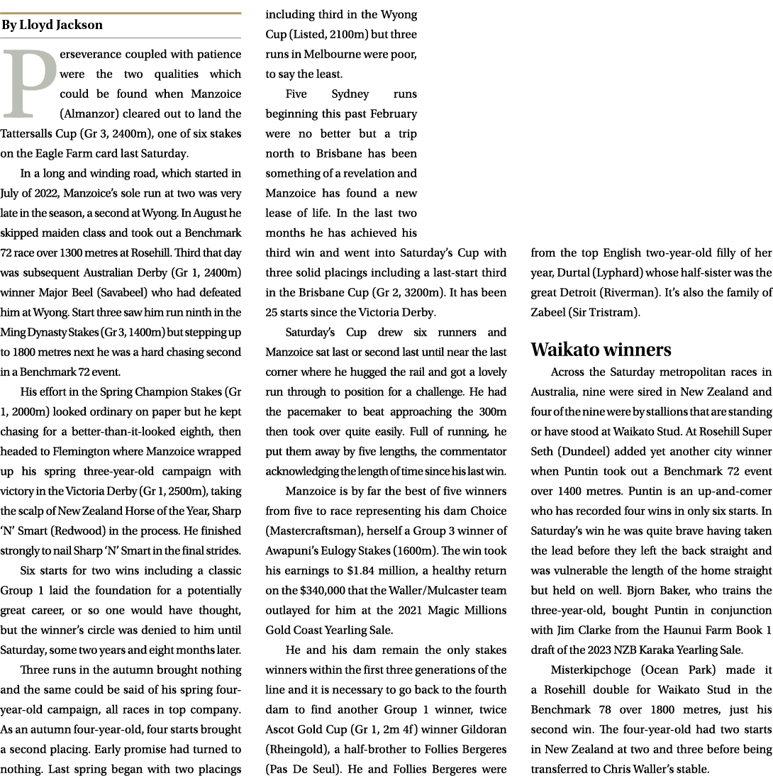 ￼ Perseverance coupled with patience were the two qualities which could be found when Manzoice (Almanzor) cleared out...