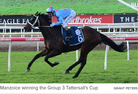 Manzoice winning the Group 3 Tattersall's Cup Grant Peter