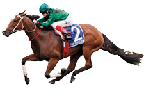  Far vToo Easy (Craig Williams, all green) tyrained by David McColl wins the Kosiosko at Randwick on October 19, 2024 - photo by Martin King/Sportpix copyright