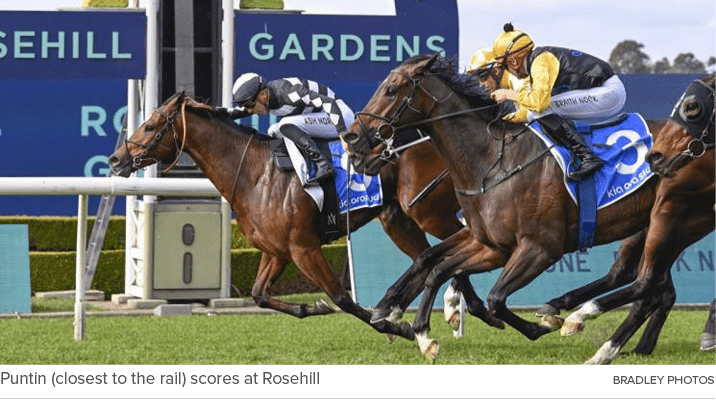 Puntin (closest to the rail) scores at Rosehill Bradley Photo