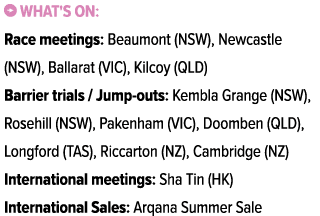 ￼ What's on: Race meetings: Beaumont (NSW), Newcastle (NSW), Ballarat (VIC), Kilcoy (QLD) Barrier trials / Jump outs:...