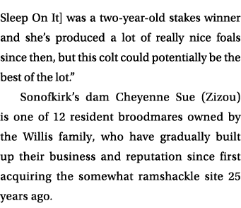 Sleep On It] was a two year old stakes winner and she’s produced a lot of really nice foals since then, but this colt...