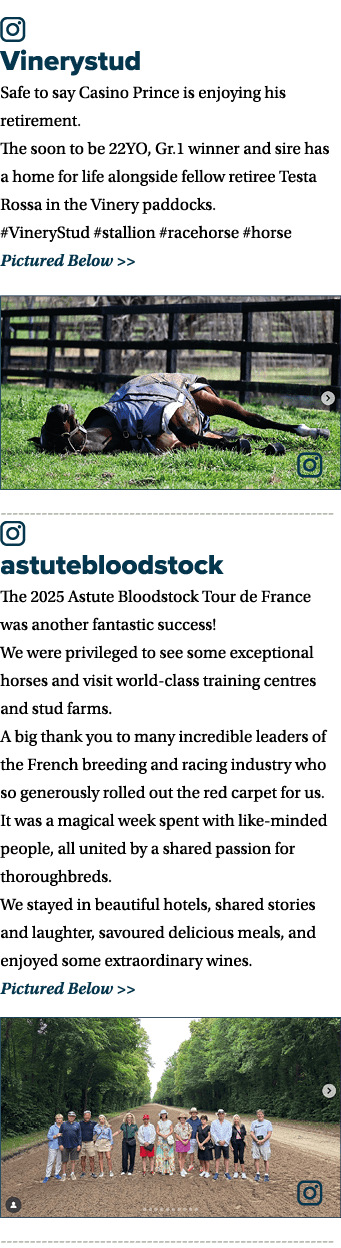 ￼ Vinerystud Safe to say Casino Prince is enjoying his retirement. The soon to be 22YO, Gr.1 winner and sire has a ho...