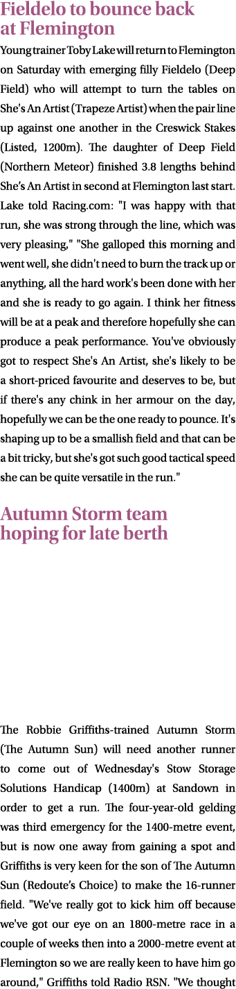 Fieldelo to bounce back at Flemington Young trainer Toby Lake will return to Flemington on Saturday with emerging fil...