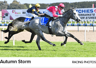 Autumn Storm racing photo
