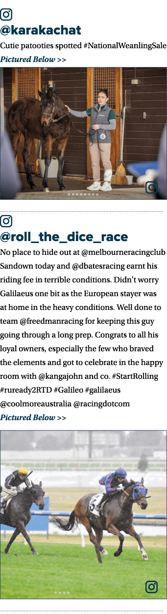 ￼ @karakachat Cutie patooties spotted #NationalWeanlingSale Pictured Below   ￼ ￼ @roll_the_dice_race No place to hid...