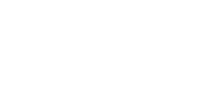 ‘She’ll make a beautiful broodmare’