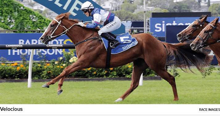 Velocious race image