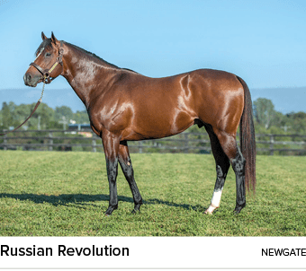 Russian Revolution newgat