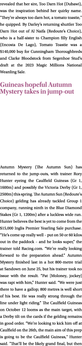 revealed that her sire, Too Darn Hot (Dubawi), was the inspiration behind her quirky name. \“They're always too darn ...