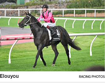 Elouyou racing photo